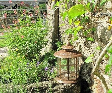 Lowertown Farm B&B Widecombe in the Moor Exteriör bild