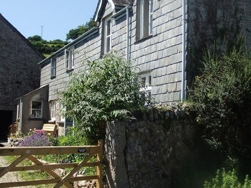 Lowertown Farm B&B Widecombe in the Moor Exteriör bild